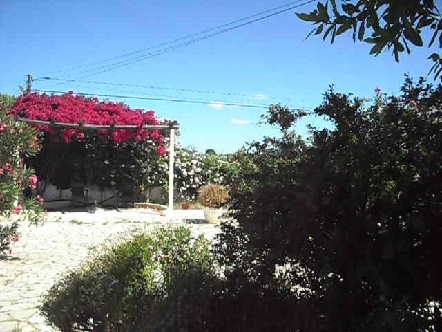 Casa di campagna Monte Dos Sabores Lagos